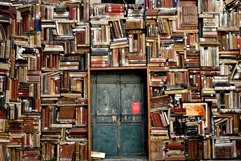 librairie-CAVALAIRE SUR MER-min_books-1655783